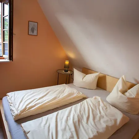 Apartament Bioweingut Bertram Isele Achkarren Zewnętrze zdjęcie