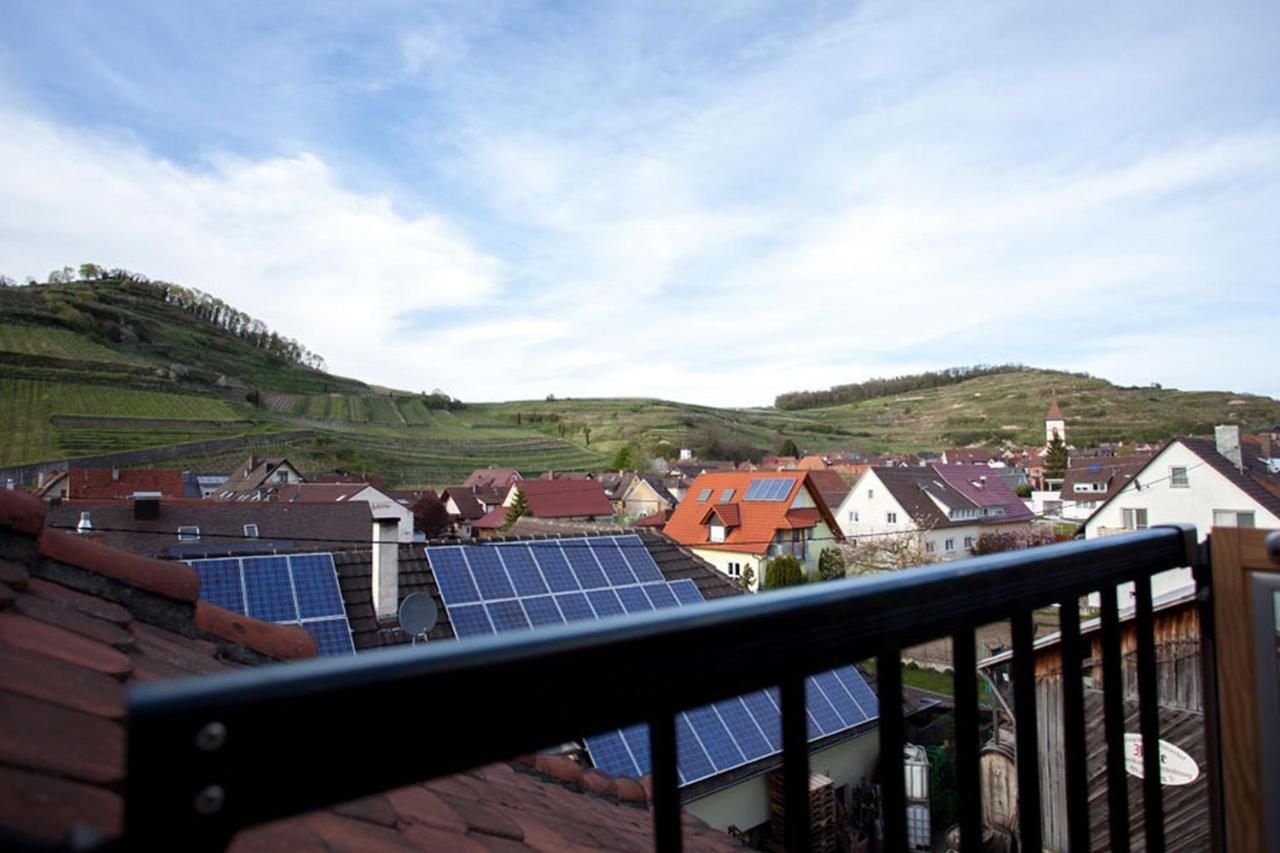 Bioweingut Bertram Isele Apartment *